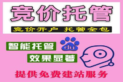 信息流广告代理市场案例分析